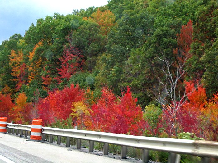 Fall colours